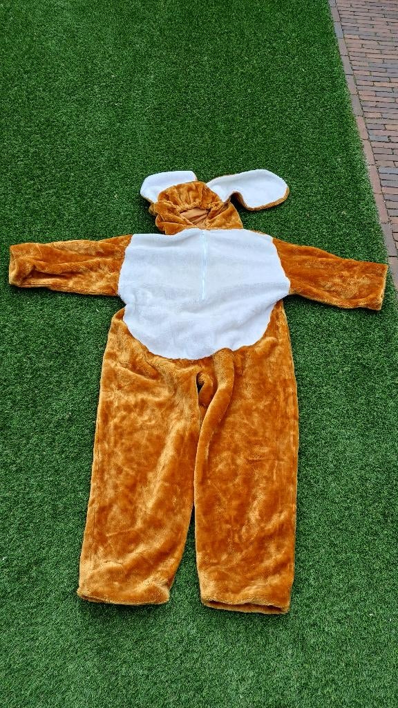 Paashaas pak volwassenen, Ophalen, Gedragen, Pasen, Kleding