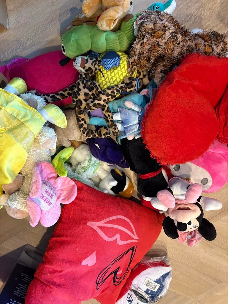 Zak knuffels/kussentjes, Ophalen of Verzenden, Zo goed als nieuw, Overige typen