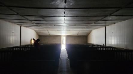 isolatie / dupanel / diverse, Ophalen of Verzenden, Gebruikt