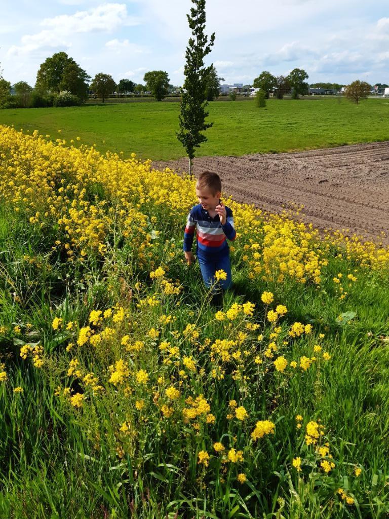pedagogisch medewerker niv. 3, Diensten en Vakmensen, Welzijn | Overige