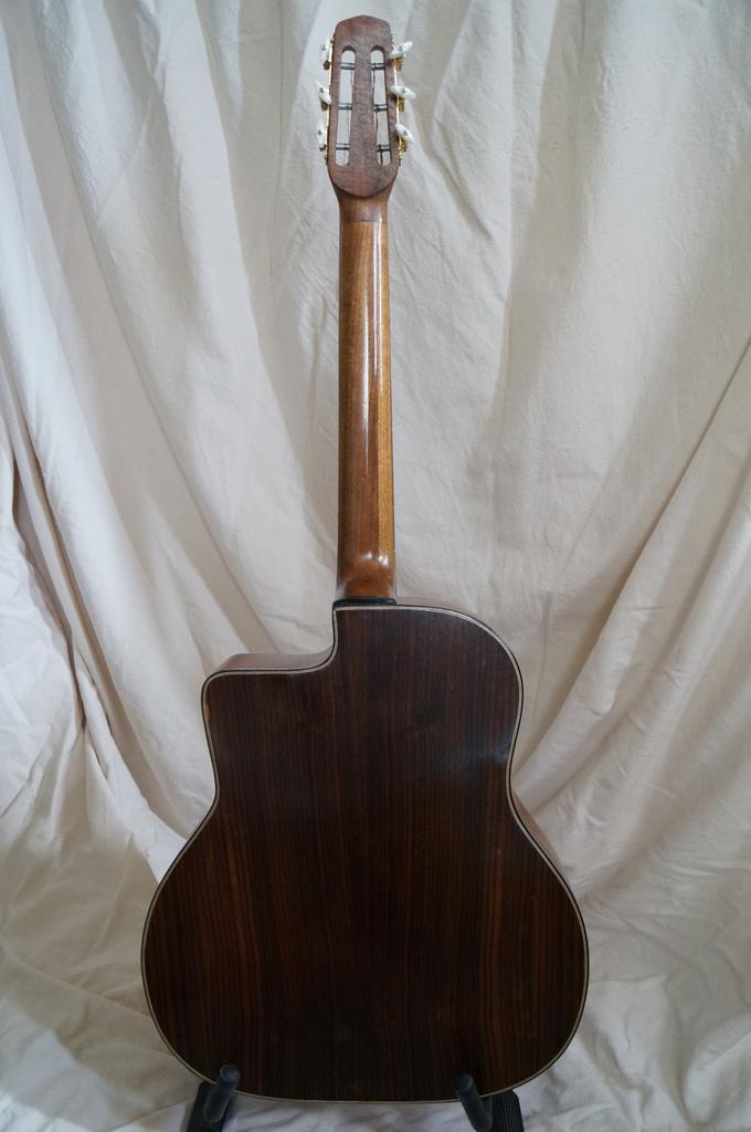 Django gitaar, Muziek en Instrumenten, Snaarinstrumenten | Gitaren | Akoestisch, Ophalen of Verzenden, Zo goed als nieuw, Overige typen