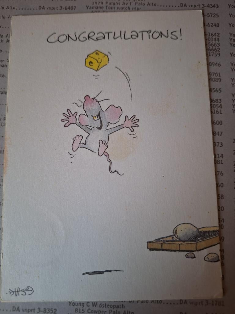 Leendert-Jan Vis, Ophalen of Verzenden, 1980 tot heden, Gelopen, Overige thema's