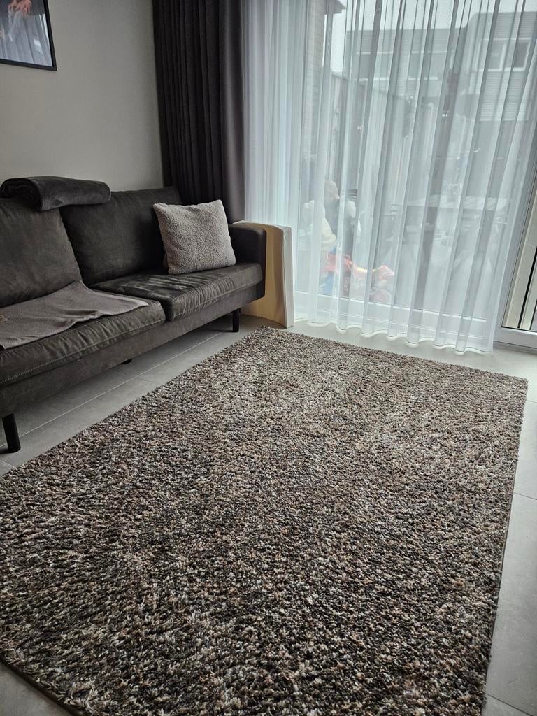 2 vloerkleden, Gebruikt, 150 tot 200 cm, 200 cm of meer, Ophalen of Verzenden