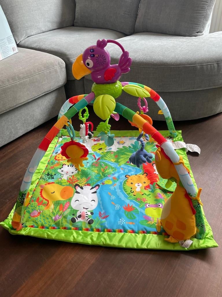 Fisher Price babygym zo goed als nieuw, Ophalen of Verzenden, Zo goed als nieuw, Babygym