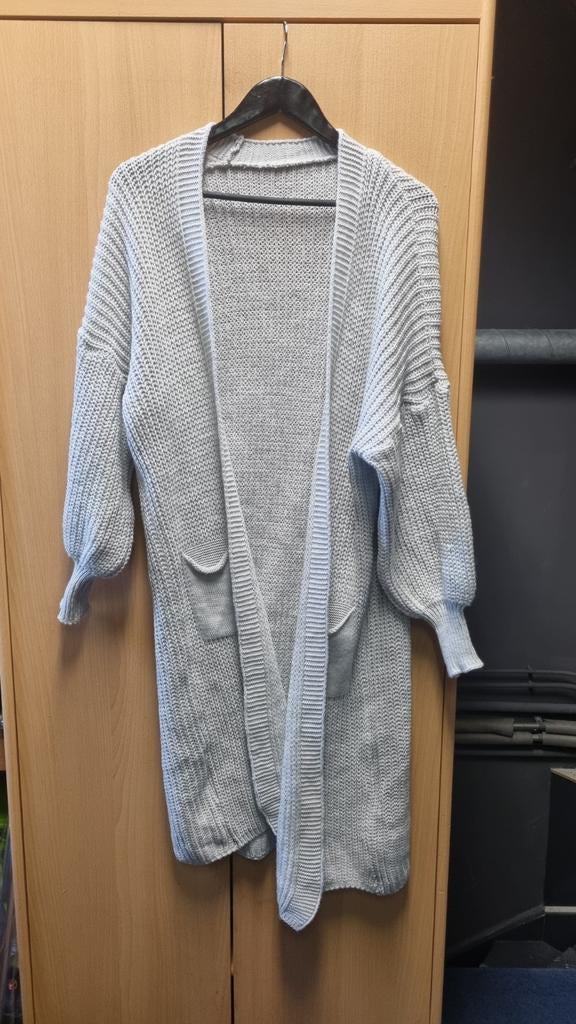 Grijs lang vest maat 46/48, Ophalen of Verzenden, Gedragen, Maat 46/48 (XL) of groter, Grijs