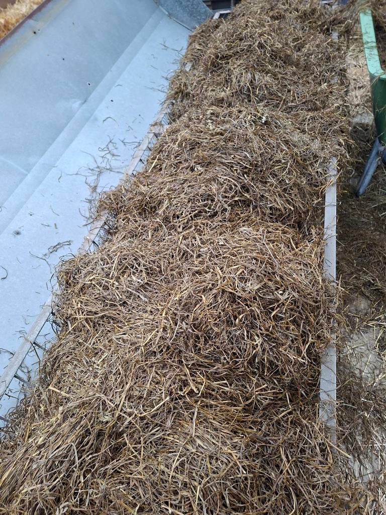 T.k. Midi ronde balen kuil vol energie, Ophalen of Verzenden, Vee