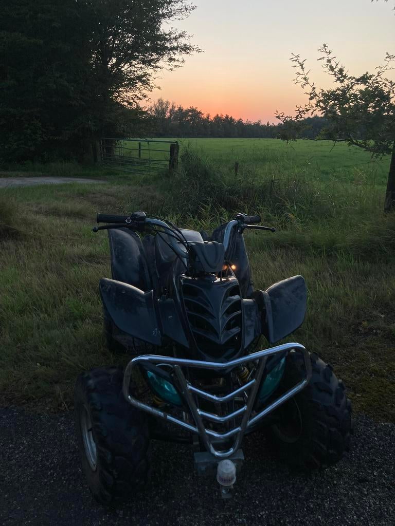Quad 250CC Waardepeiling, Ophalen, Overige typen