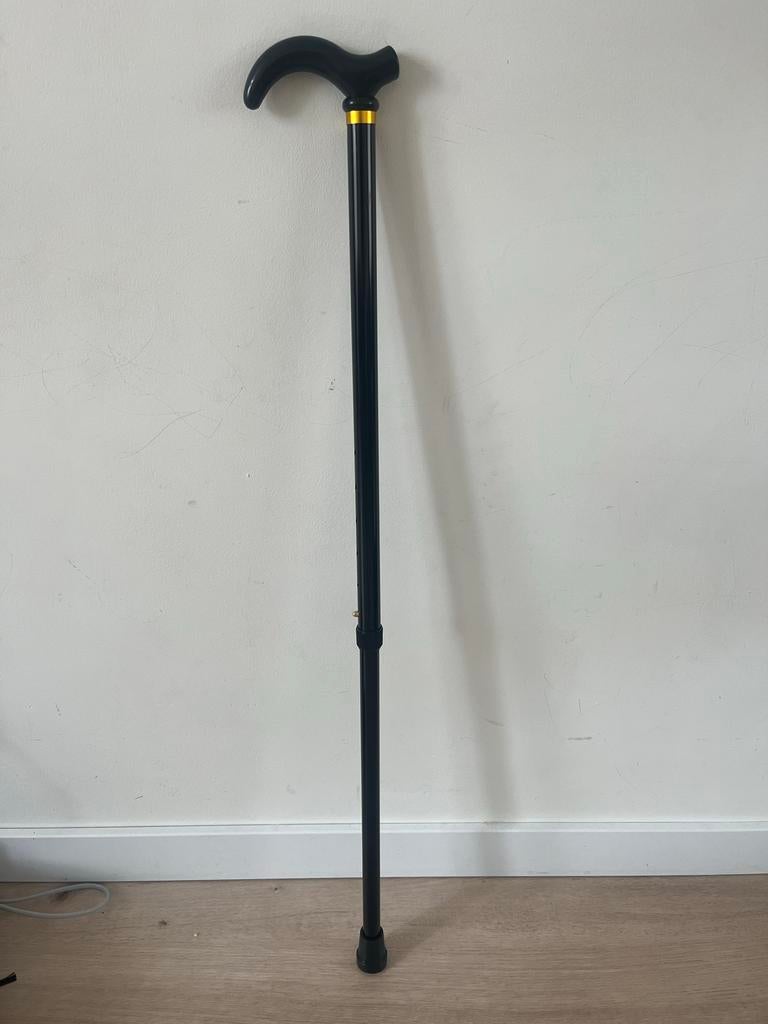 Wandelstok, Diversen, Wandelstokken, Ophalen of Verzenden