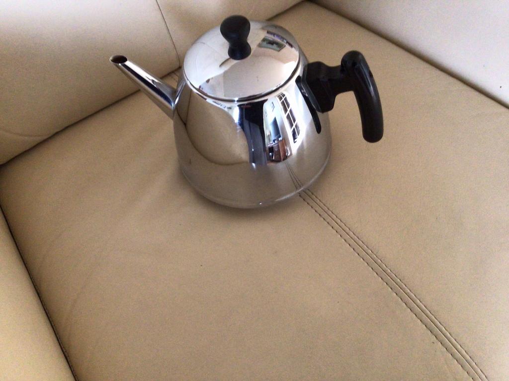 Bredemeijer dubbelwandige theepot, Ophalen of Verzenden, Gebruikt, Rvs