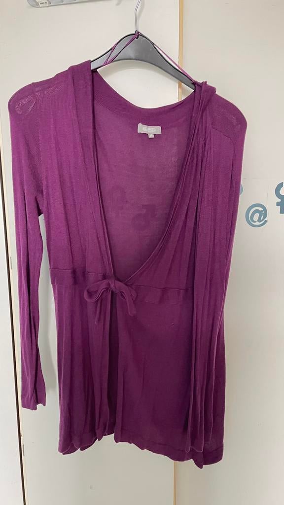 Nieuw maat 48 prachtig paars lente vest / top  met sluiting, Kleding | Dames, Grote Maten, Ophalen of Verzenden, Nieuw, Paars