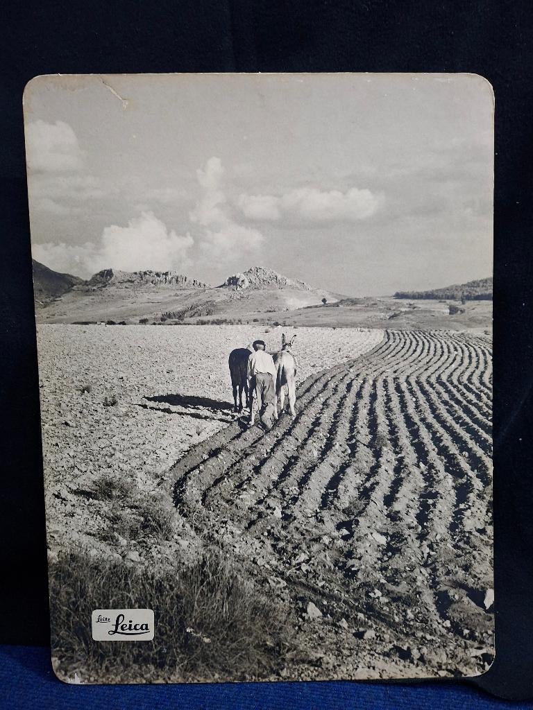 Leitz Wetzlar “Spanisher Landman”, Ophalen, Gebruikt, Reclamebord