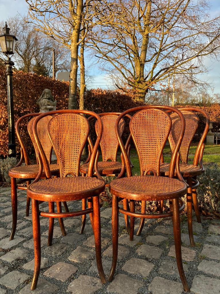 5 originele Josef Hoffmann Thonet stoelen ontwerp 1920, Antiek en Kunst, Antiek | Meubels | Stoelen en Banken, Ophalen