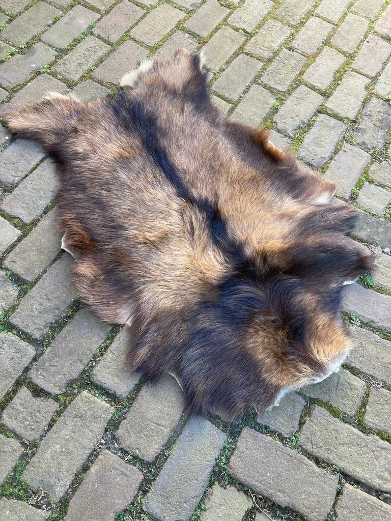 Geitenhuid vloerkleedje - ca. 100x60 cm, Huis en Inrichting, Stoffering | Tapijten en Kleden, Gebruikt, 50 tot 100 cm, 100 tot 150 cm