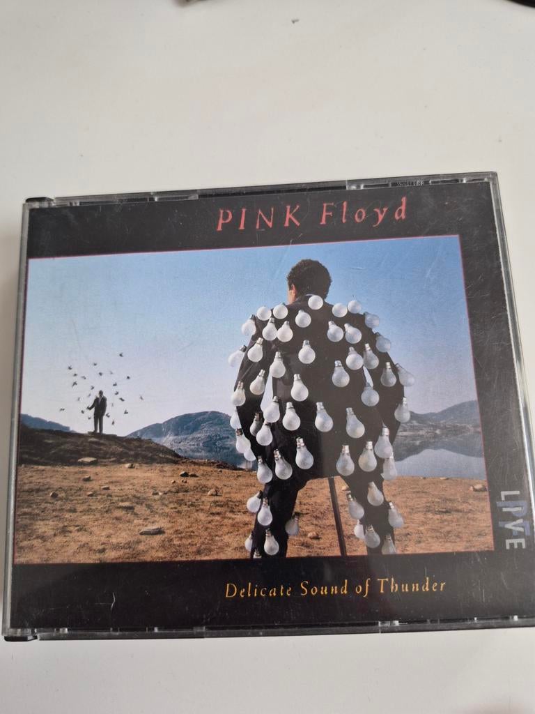 Pink Floyd - Delicate Sound of Thunder (Live CD), Ophalen of Verzenden, Gebruikt, Progressive