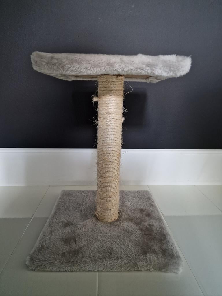 Krappaal Kitten, Ophalen, Krabpaal