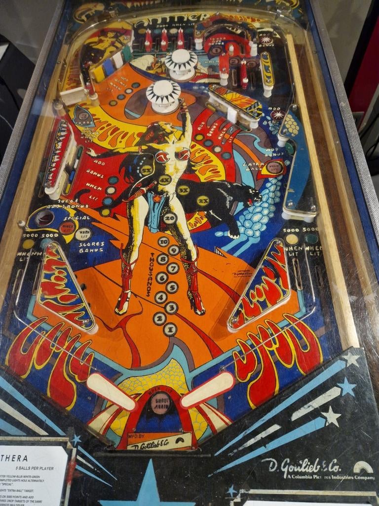 Panthera flipperkast 1980, Ophalen, Gebruikt, Flipperkast, Gottlieb