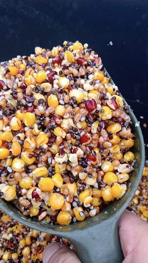 Verse partikels voor de hengelsport, Ophalen of Verzenden, Nieuw