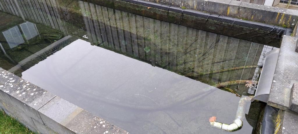 Complete vijver (52m), Tuin en Terras, Vijvers, Ophalen, Gebruikt