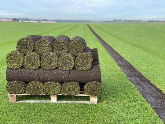 We snijden Graszoden Vandaag leggen. Zoden op voorraad, Ophalen of Verzenden, Nieuw, 20 m² of meer, Gras