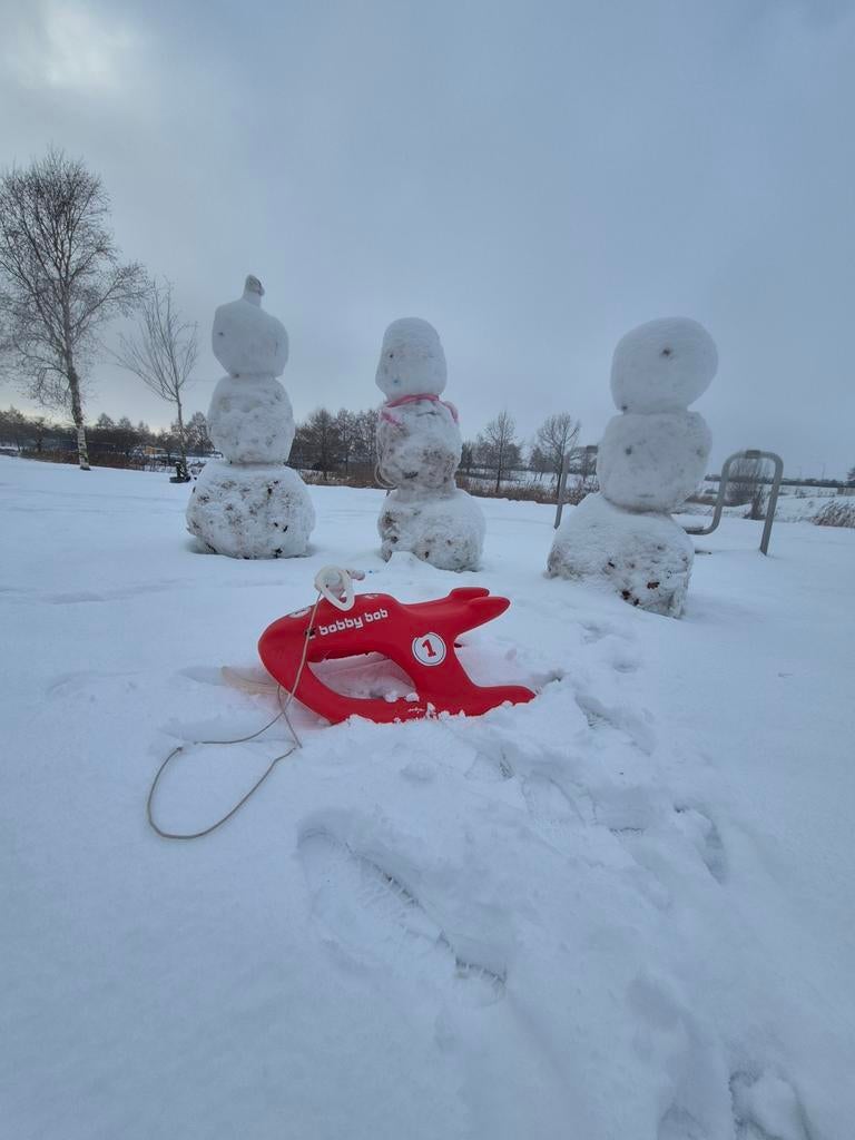 BIG Bobby Bob Kinderslee met stuur, Ophalen, Gebruikt, Overige merken