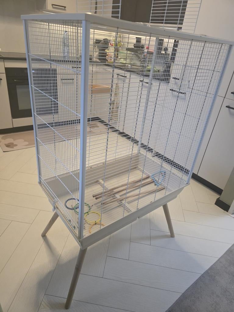 Grote vogelkooi op houten pootjes compleet stijlvol, Dieren en Toebehoren, Ophalen, Metaal, Vogelkooi