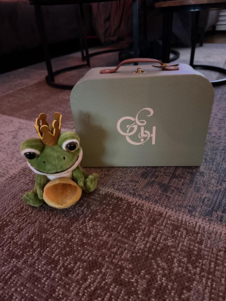 Efteling grand hotel koffer, Ophalen of Verzenden, Nieuw, Kleding