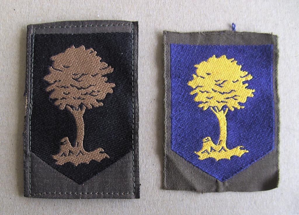 Commando Opleidingen KL  dt en gvt, Ophalen of Verzenden, Landmacht, Nederland, Embleem of Badge