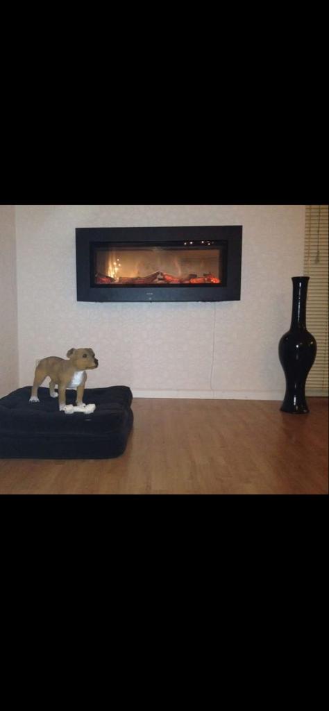 Elektrische Sfeerhaard met Afstandsbediening - 3 standen, Gebruikt, Overige soorten, Elektrisch, Ophalen of Verzenden