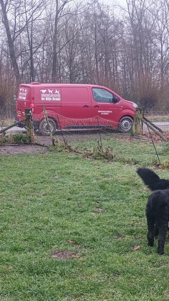 Ter overname: Hondenuitlaatservice in de Betuwe., Uitlaatservice