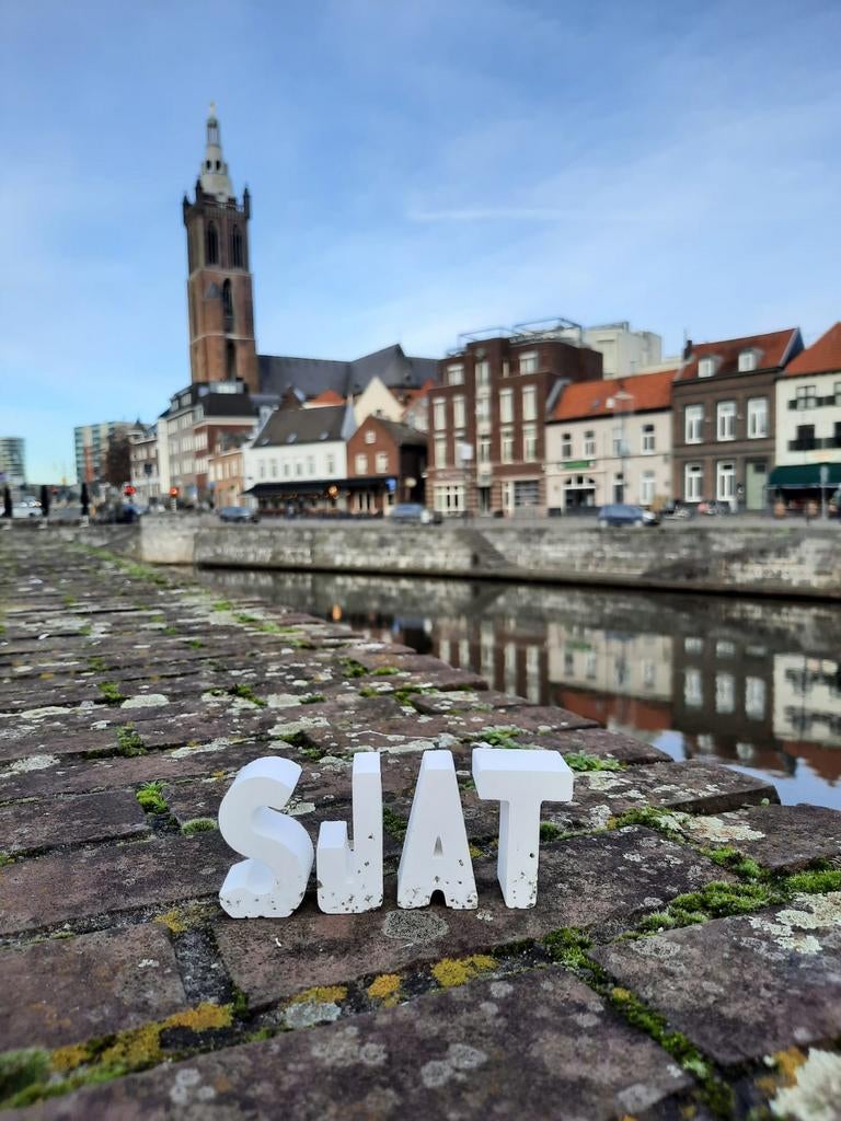 SJAT Limburgse woondecoratie (Cadeautje), Ophalen of Verzenden