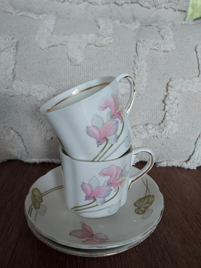 Bone, Ophalen of Verzenden