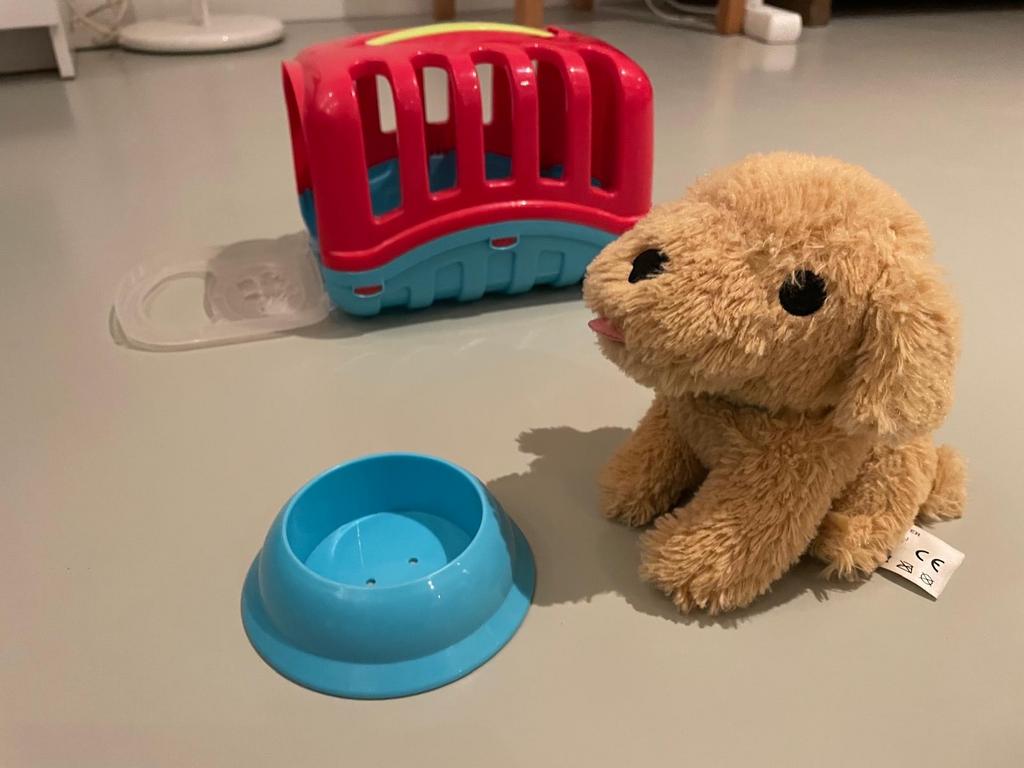 Hondje in bench met hondenbak, Ophalen, Gebruikt, Overige typen