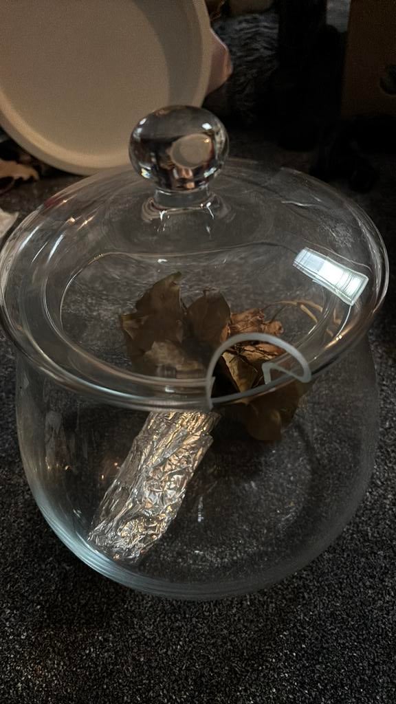 Bowlschaal, Huis en Inrichting, Keuken | Servies, Overige materialen, Ophalen of Verzenden, Overige stijlen, Schaal of Schalen