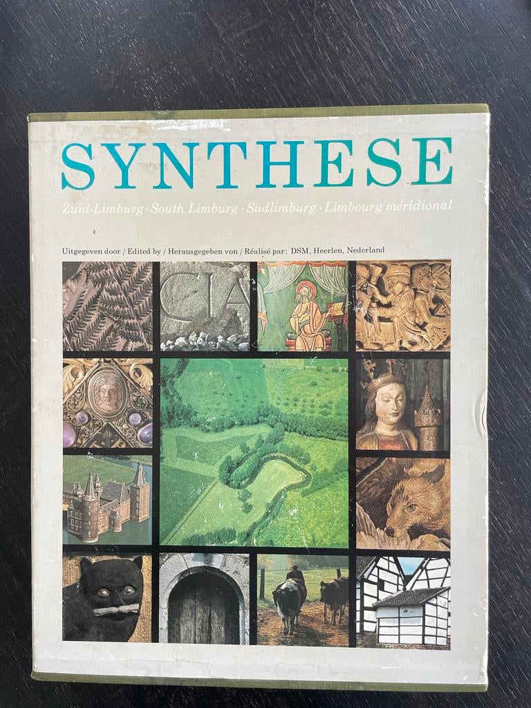 Boek Synthese DSM uitgave, Boeken, Ophalen, Gelezen, Nederland