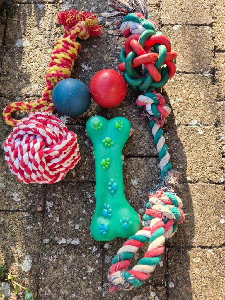 Lotje hondenspeelgoed, Dieren en Toebehoren, Ophalen of Verzenden, Gebruikt