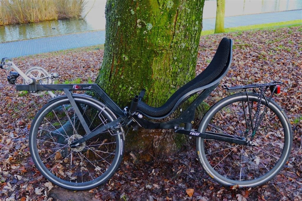 Ligfiets Originele Flevobike Racer, geheel gereviseerd, Ophalen, Gebruikt, Onderstuur, Overige merken