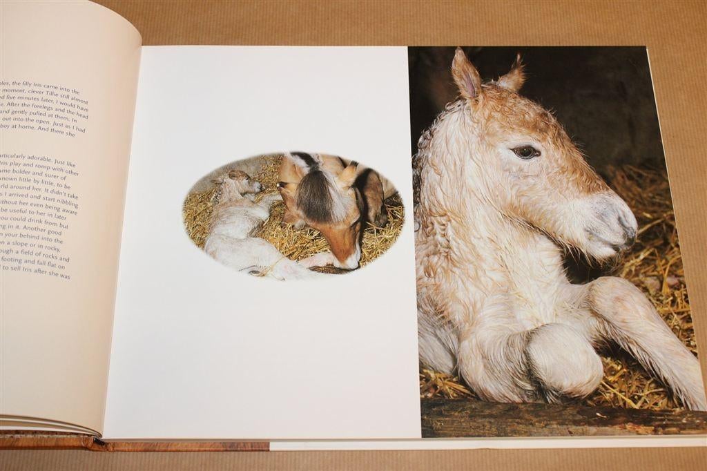 Fjord in Beeld — The Fjord in Focus Fotoboek, Ophalen of Verzenden, Zo goed als nieuw, Katten