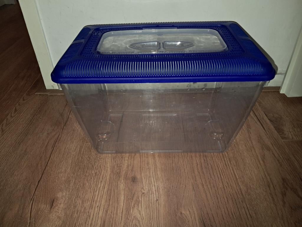 Kleine plastic aquarium, Dieren en Toebehoren, Vissen | Aquaria en Toebehoren, Ophalen of Verzenden, Zo goed als nieuw, Leeg aquarium