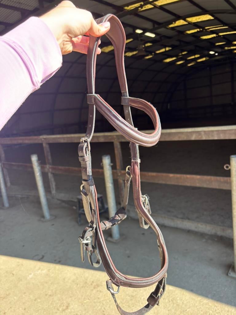 Rambo micklem bruin full, Ophalen of Verzenden, Zo goed als nieuw, Dressuur