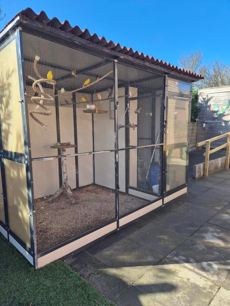 Volliere, Dieren en Toebehoren, Vogels | Hokken en Kooien, Ophalen, Hout, Volière