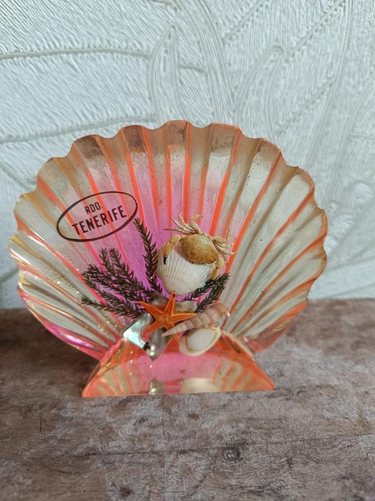 Vintage decoratieve Schelp met Zeeleven - Souvenir Tenerife, Ophalen of Verzenden