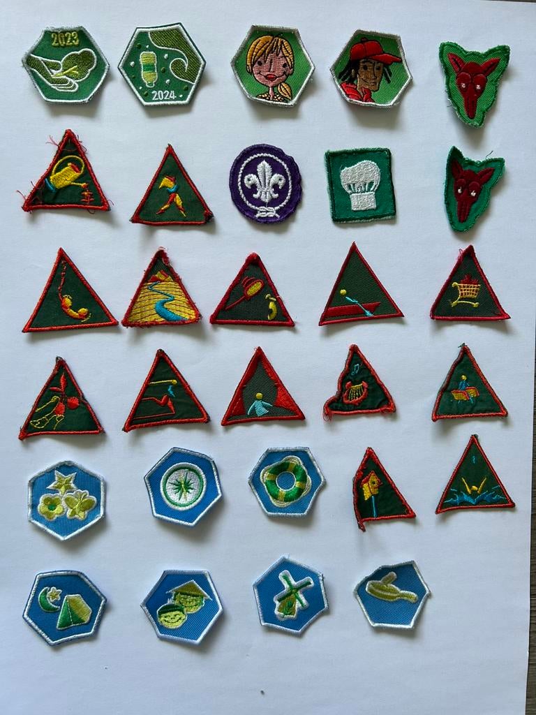 Te ruilen (verkopen), Verzamelen, Scouting, Ophalen of Verzenden, Embleem, Speld of Insigne