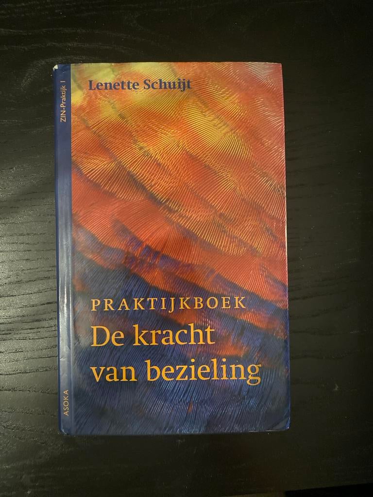 Praktijkboek De kracht van bezieling - Lenette Schuijt, Boeken, Ophalen of Verzenden, Gelezen