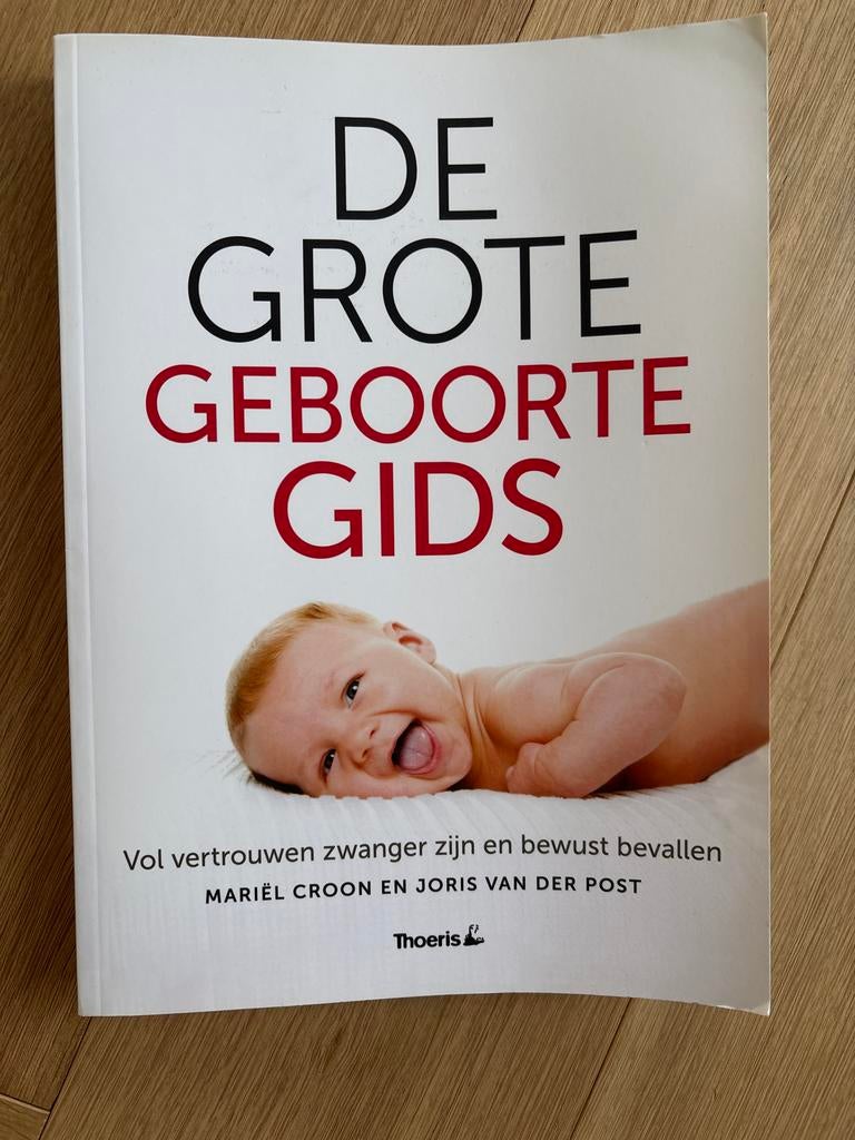 De Grote Geboorte Gids: Zwangerschap en Bevalling, Boeken, Ophalen of Verzenden, Zo goed als nieuw, Zwangerschap en Bevalling