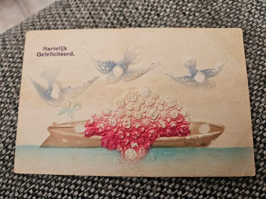 Brocante dik bedrukte duiven 1909, Ophalen of Verzenden, Voor 1920