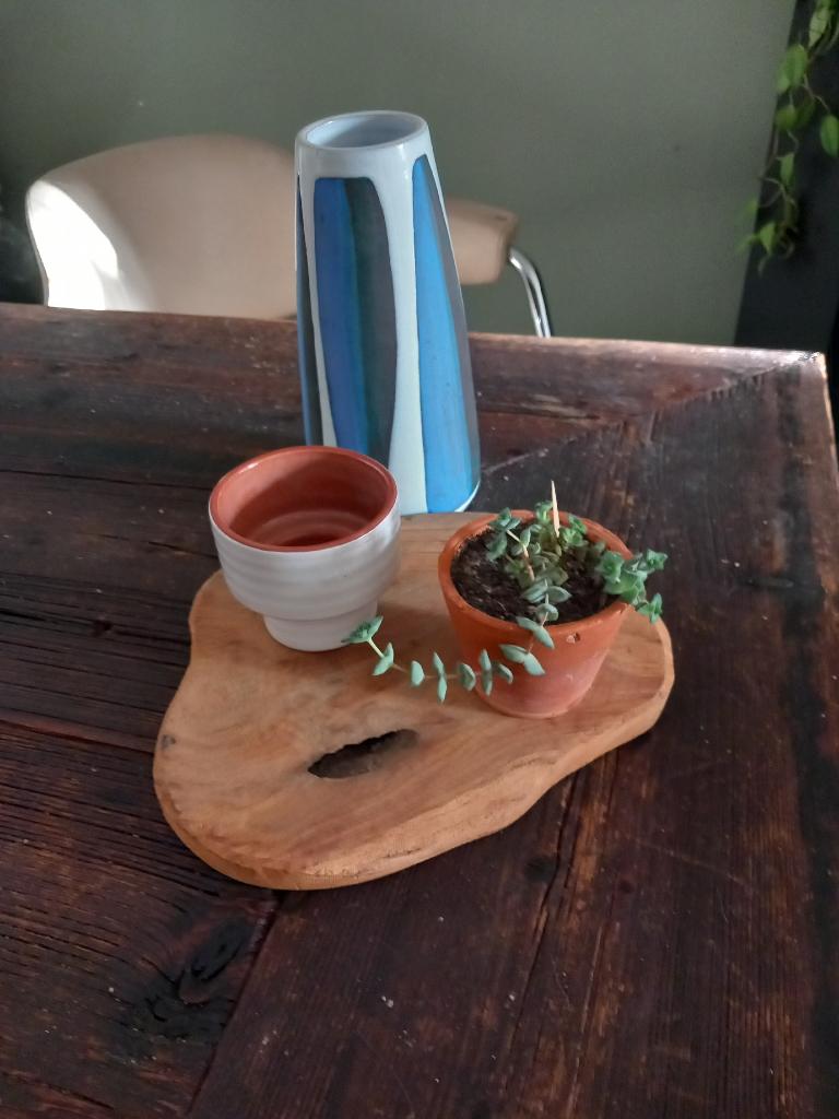 gratis verzenden teak hout onderbord serveerplank boomschijf, Ophalen of Verzenden, Nieuw