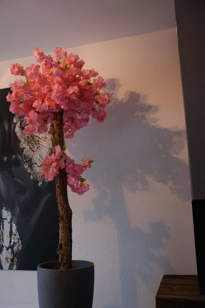 Oude stam vol mooie nep bloesem, Huis en Inrichting, Woonaccessoires | Kunstplanten en Kunstbloemen, Ophalen of Verzenden, Nieuw