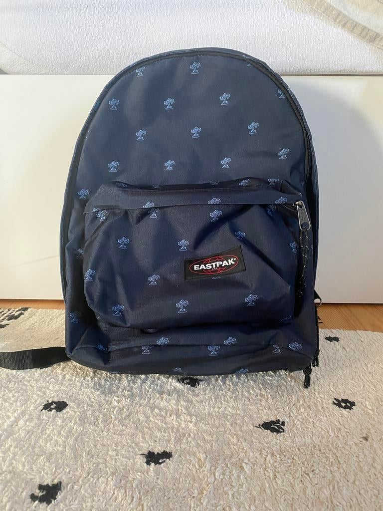 Eastpak rugtas, Sieraden, Tassen en Uiterlijk, Tassen | Rugtassen, Ophalen of Verzenden, Zo goed als nieuw, Eastpak, 30 tot 45 cm