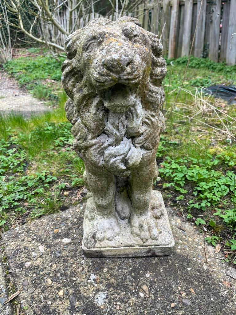 Te koop, set van 2 oude betonnen tuinbeelden leeuw, Ophalen, Gebruikt, Steen, Dierenbeeld