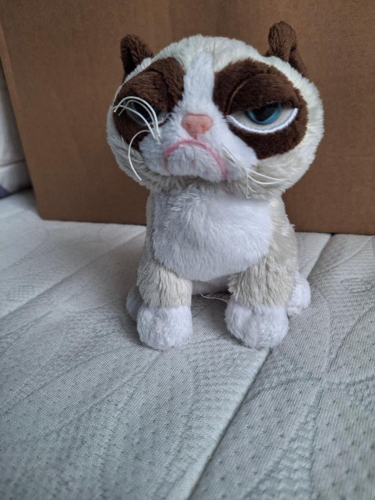 Kleine knuffel van Grumpy cat, Ophalen of Verzenden, Zo goed als nieuw, Poes